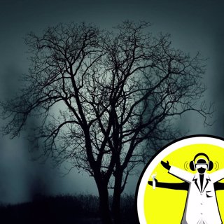 The paranormal: Why do we believe?