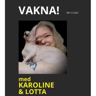 12. Lotta Meurling - Självmordsförsöket öppnade ögonen