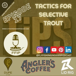 Tactics for Selective Trout While Fly Fishing