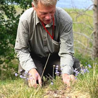 Pressade växter och naturens smaker