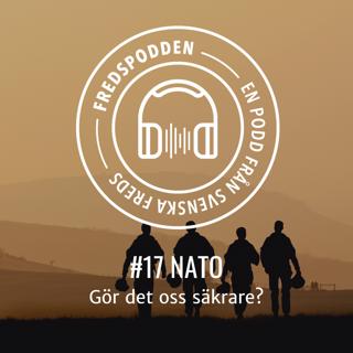 #11 Kriget mot terrorismen - går det att kriga fram fred?