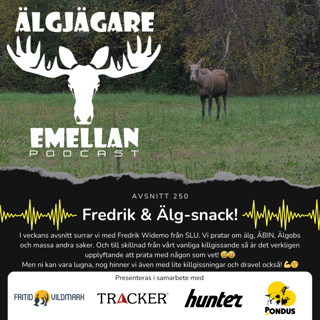 250. Fredrik & Älg-snack! 