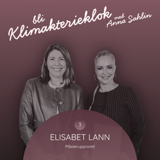 3. Elisabet Lann "Plåsterupproret"