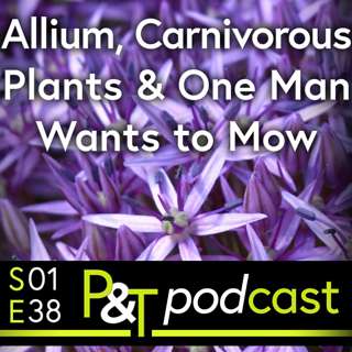 Carnivorous Plants, Allium Propogation & One Man Wants to Mow