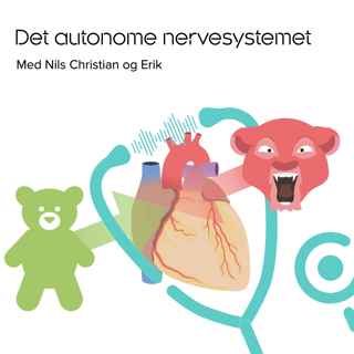 Ereksjon, grevling og regulering av hjerterytme