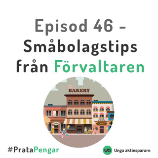 Episod 46 - Småbolagstips från förvaltaren