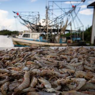 Catching up with a fired federal worker, a shrimper and a fraudster