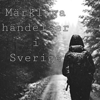 Mannen som ringde 