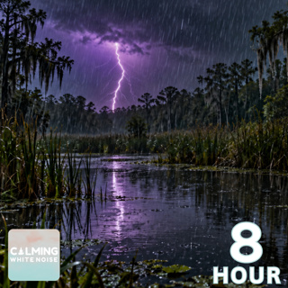 Crickets and Frogs at Night with Rain | 8 Hour Sleep Sounds
