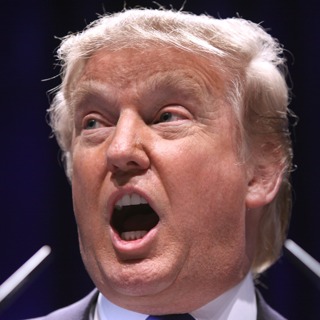 Surprise! More Trump Tariffs