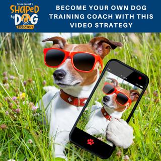 Become Your Own Dog Training Coach With This Video Strategy #133