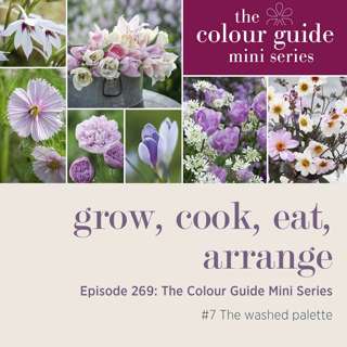 The Colour Guide Mini Series #7: The washed palette - Episode 269