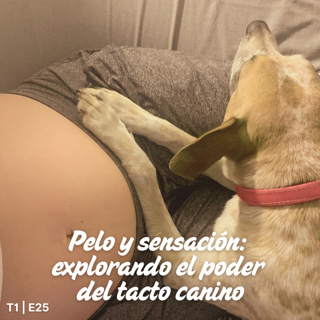 T1 I E25 Pelo y sensación: explorando el poder del tacto canino