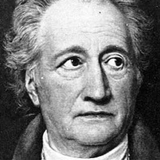 Goethes Valfrändskap – en modern roman från 1809
