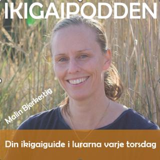#072. Vad kostar egentligen dina val?