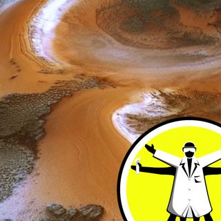 Martian carbon cycles, and magnetic flip fried Neanderthals
