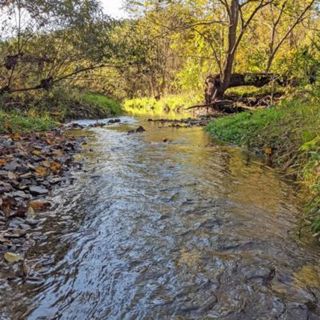 Rocky Babbling Creek - 10 Hours Sleep Sound