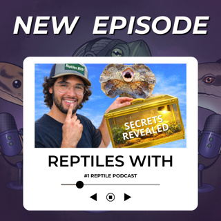 Reptile Keepers NEED TO KNOW THIS! You Asked & We Answered (Q-n-A) | Reptiles With Podcast