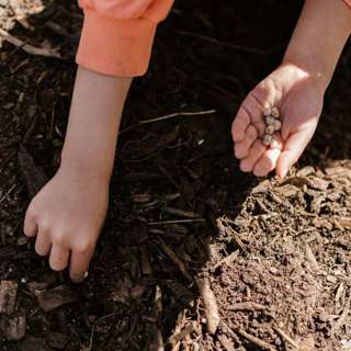 7.16.23 - Just Keep Sowing