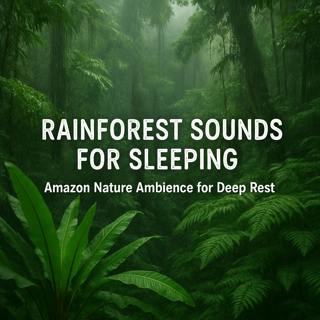 Rainforest Sounds for Sleeping | Amazon Nature Ambience for Deep Rest
