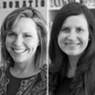 247- Teaching Executive Functions to Children with ADHD: A Course for Teachers (and Parents)
