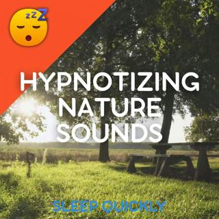 đŽđ Hypnotizing NATURE Sounds