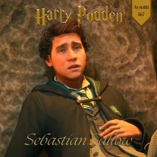 Sebastian Sallow