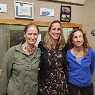 Carrie Baker, NEPM's Nancy Cohen & Atty Laura Mangini: investigations of sex abuse clergy cases