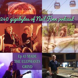 240 gigabytes of Neil Finn podcast