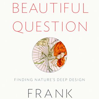 Podcast Extra - A Beautiful Question