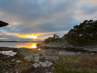 445. Frid på vår jord