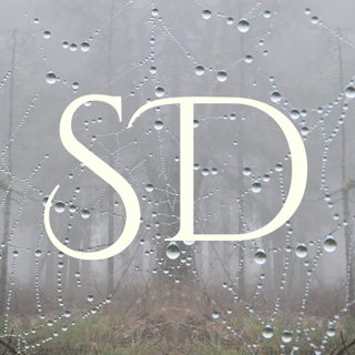 rss-spindeldis