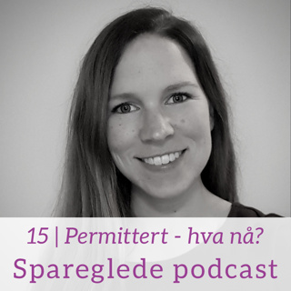 15 | Permittert - hva nå?