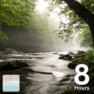 Peaceful Ambience for Insomnia Relief (8 Hours) | Calming River Sounds