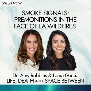 Smoke signals: Premonitions in the face of LA wildfires