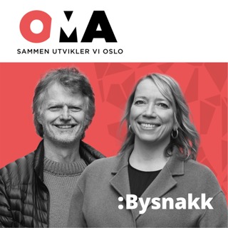 Det alternative bygulvet