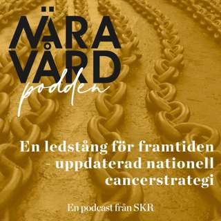 En ledstång för framtiden - uppdaterad nationell cancerstrategi