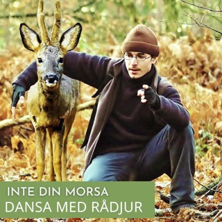 Dansa med rådjur