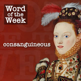 Tudor Time Machine Word of the Week: Consanguineous