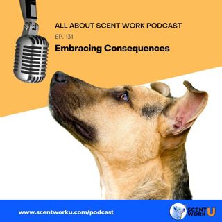 Embracing Consequences