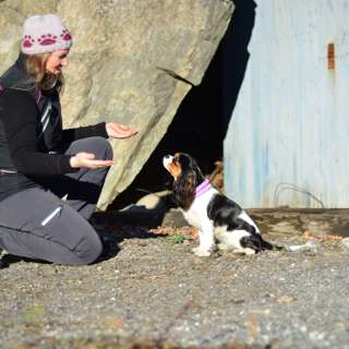 57 - Hund og menneske, del 1: Do as I Do