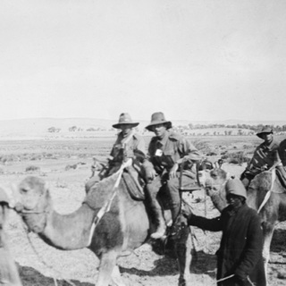 Episode 8.12 The Battle of Rafah Bluegum Part 12