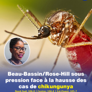 Beau-Bassin/Rose-Hill sous pression face à la hausse des cas de chikungunya