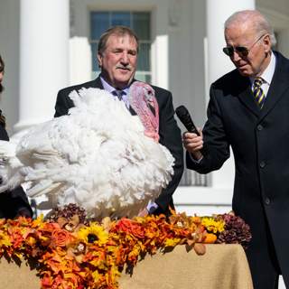 A Thanksgiving Treat: The NPR Politics Podcast Quiz