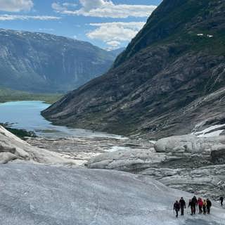 Höjdpunkter från Naturmorgonåret 2024