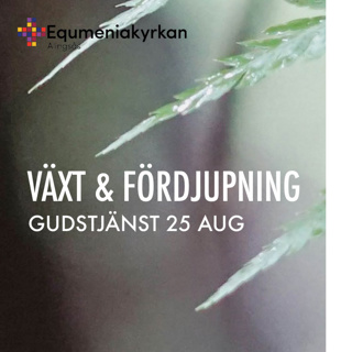 240825 - Växt & fördjupning - Noomie Hammar