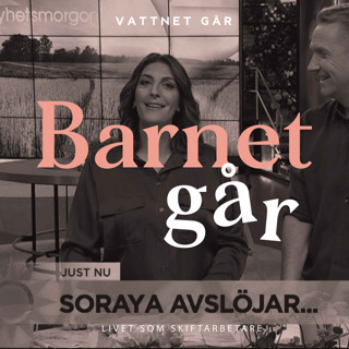 371. BG Soraya Lavasani "Vi går om varandra helt"