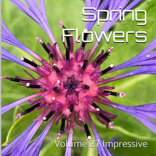 Spring Flowers Volume 27 Impressive by Daniel Lucas