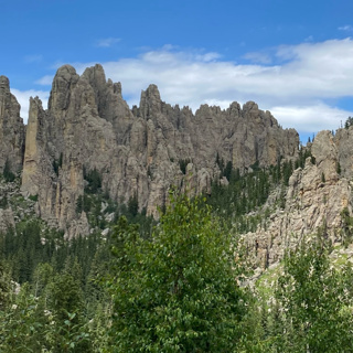 Custer State Park