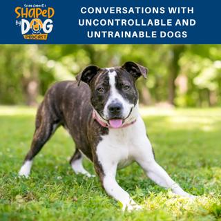 Conversations with Uncontrollable and Untrainable Dogs #77